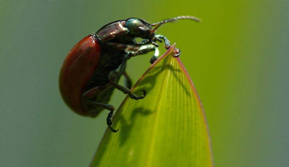 Slideshow Image 7